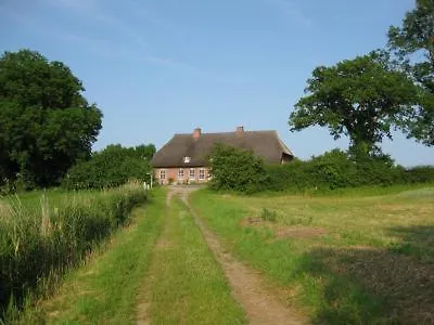 Golden Tuffel Hohwacht