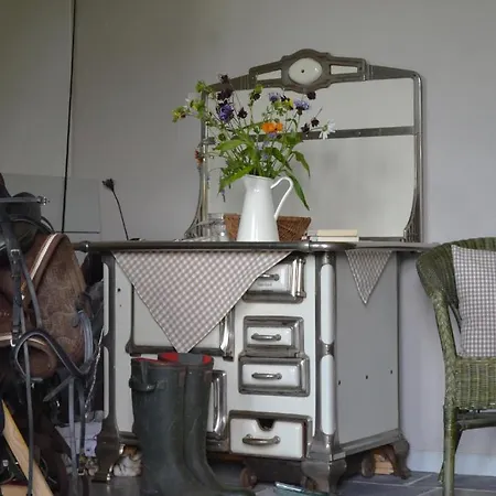 Golden Tueffel Hohwacht