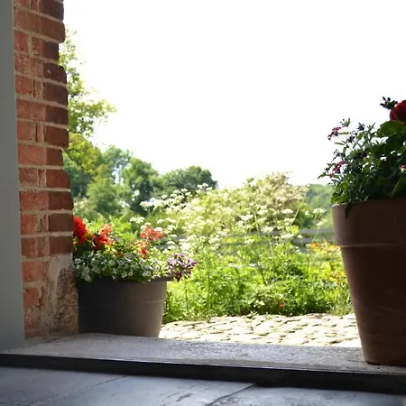 Golden Tueffel Hohwacht