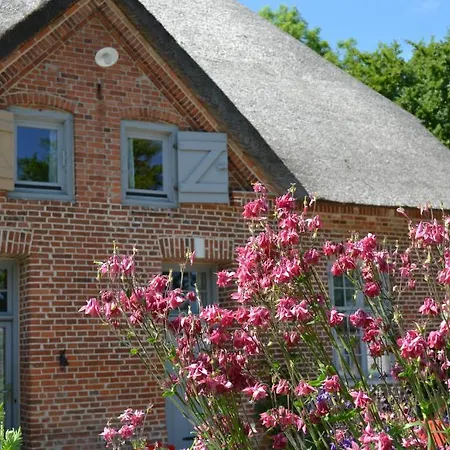 Apartamento Golden Tueffel Hohwacht