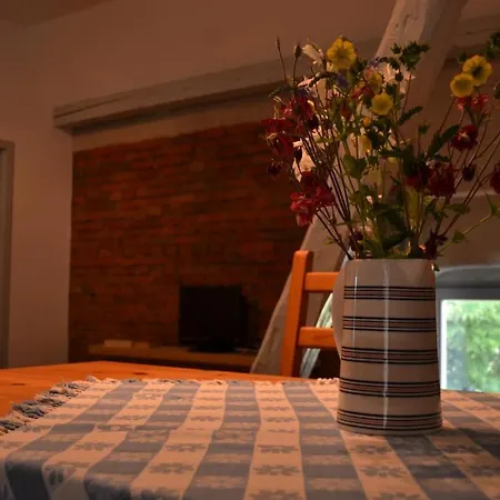 Golden Tueffel * Hohwacht