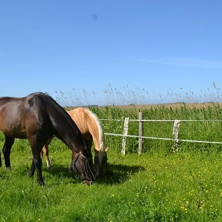 Appartement Golden Tuffel *